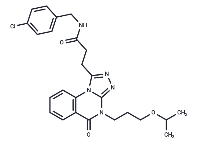 OfChi-h-IN-2