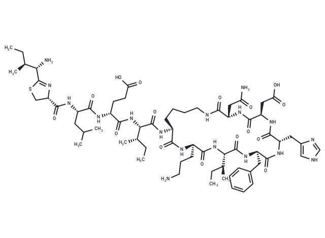 Bacitracin