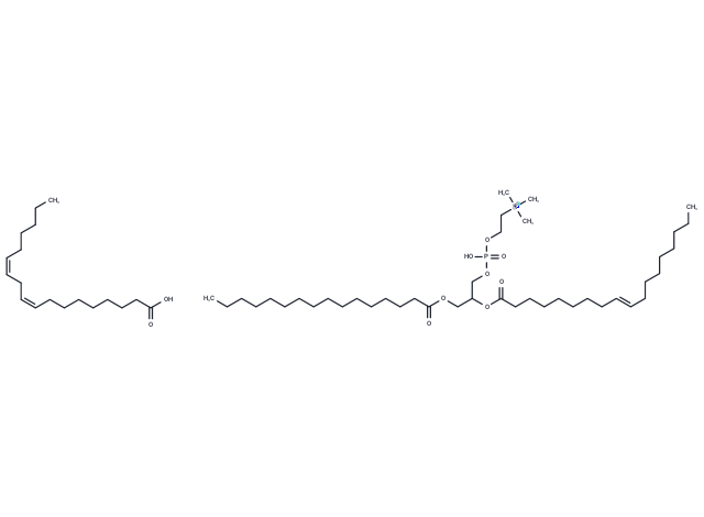 Lipofundin S
