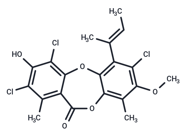 Nidulin