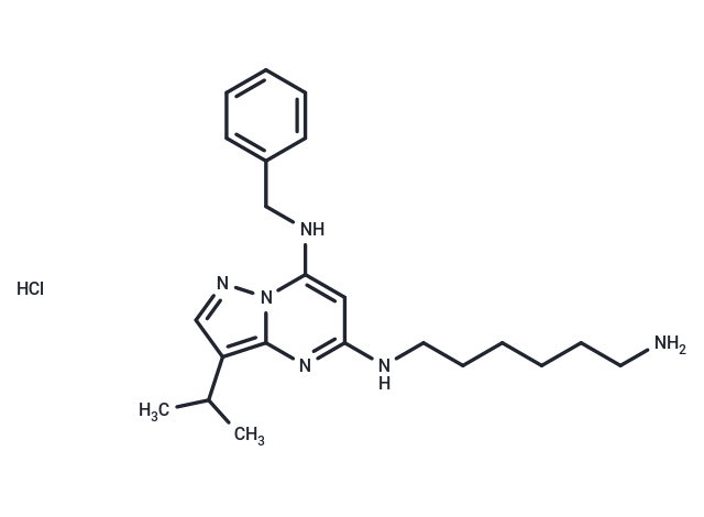 BS-181 hydrochloride