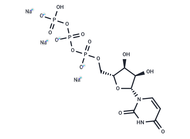 Uridine triphosphate trisodium salt [19817-92-6]