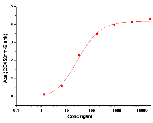 CD48 Protein, Human, Recombinant (hFc)
