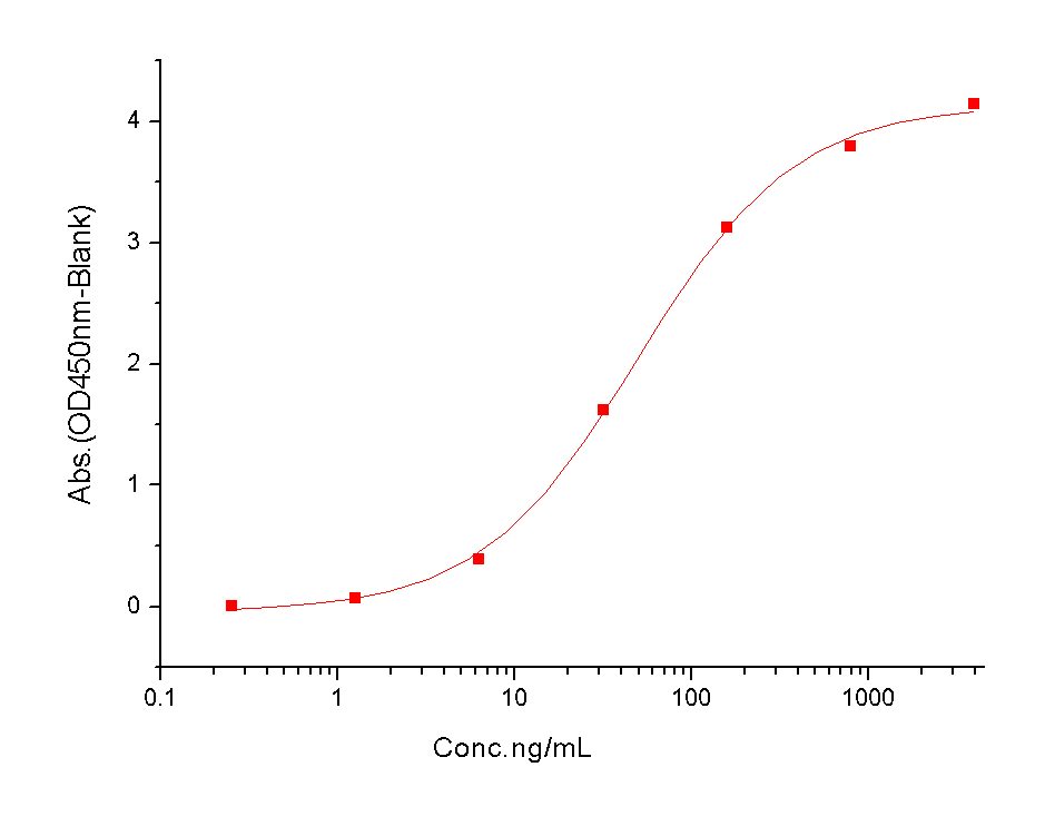 ANGPT2/Angiopoietin-2 Protein, Cynomolgus, Rhesus, Recombinant (His)