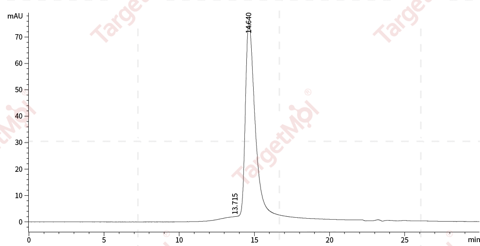 CD28 Protein, Human, Recombinant (hFc & Avi), Biotinylated