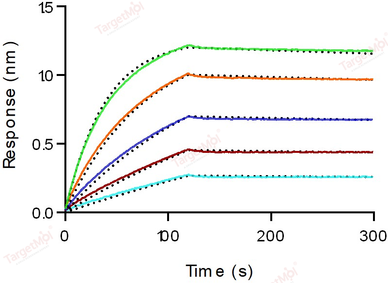 TROP-2 Protein, Human, Recombinant (His)