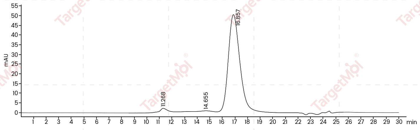 PAM Protein, Human, Recombinant (His)