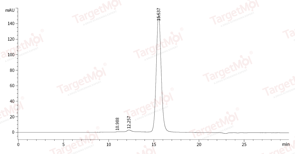 HER3/ERBB3 Protein, Rhesus, Recombinant (His)