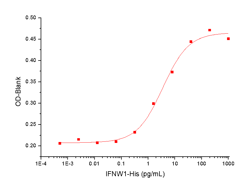 IFN-omega Protein, Human, Recombinant (His)