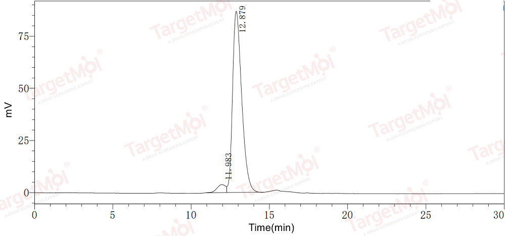 VEGF165 Protein, Human, Recombinant (Low Endotoxin)