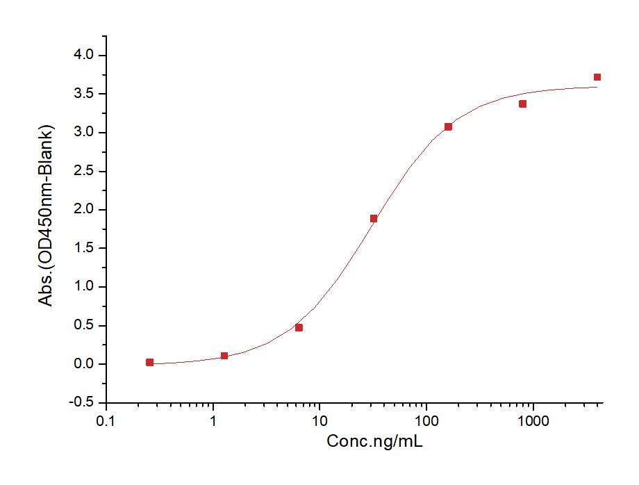 HER2/ERBB2 Protein, Human, Recombinant (aa 489-630, His)