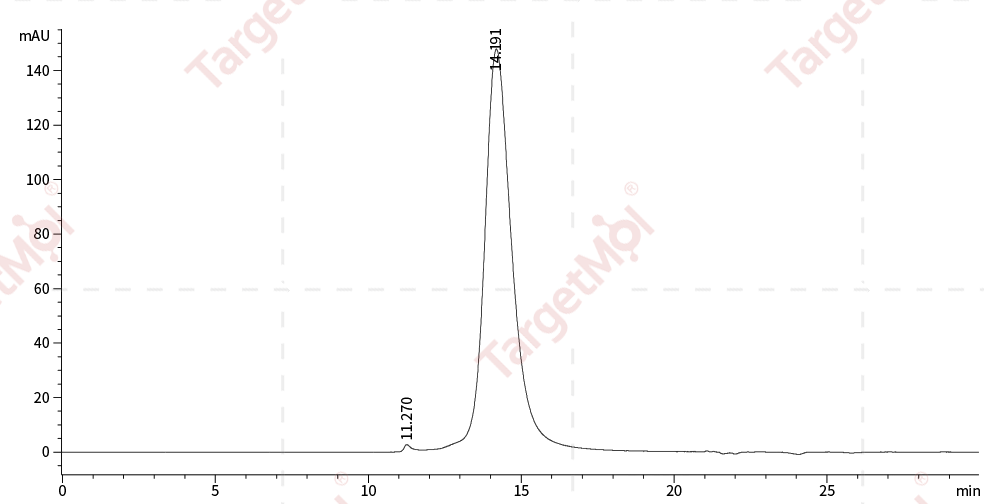 CLEC12A/MICL/CLL-1 Protein, Human, Recombinant (His)