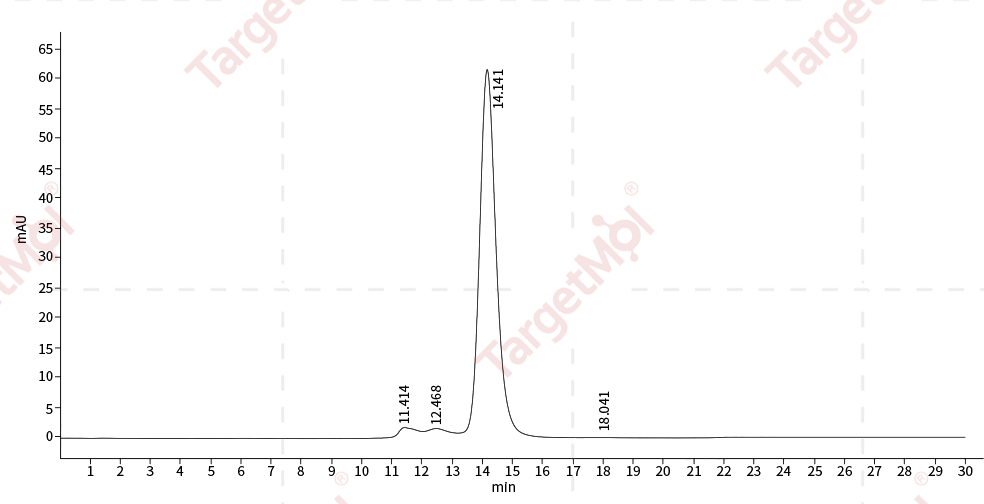 HGFR/c-Met Protein, Mouse, Recombinant (His)