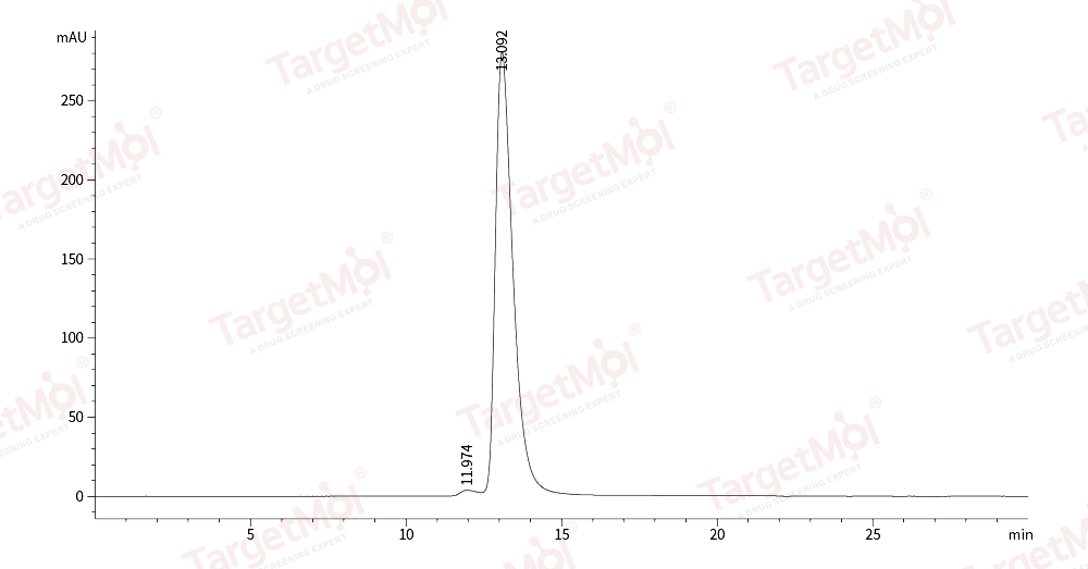 Serum Amyloid P Protein, Human, Recombinant (His)