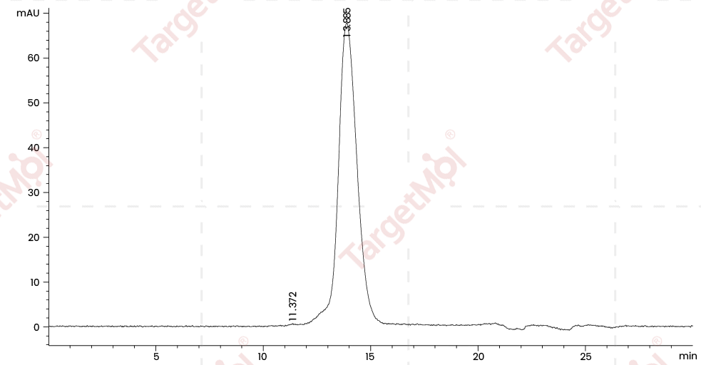 B7-H4 Protein, Human, Recombinant (His)