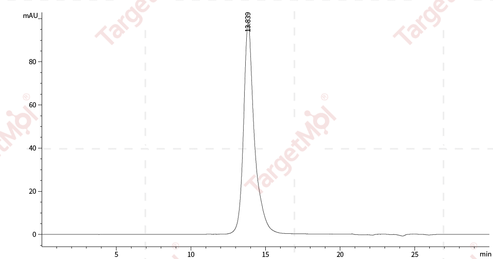 HVEM Protein, Human, Recombinant (His)