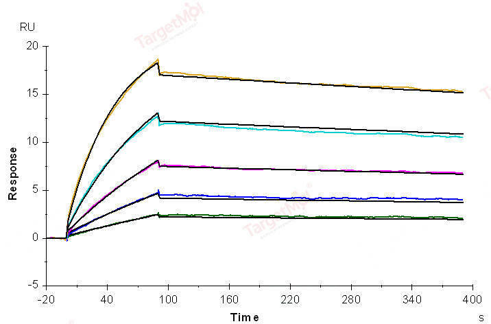 PD-L1 Protein, Human, Recombinant (His)