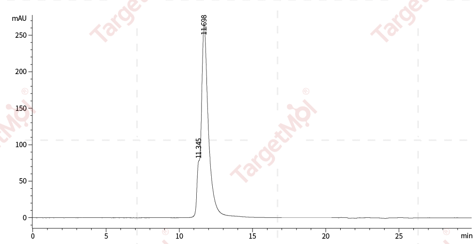 LIFR Protein, Human, Recombinant (His)