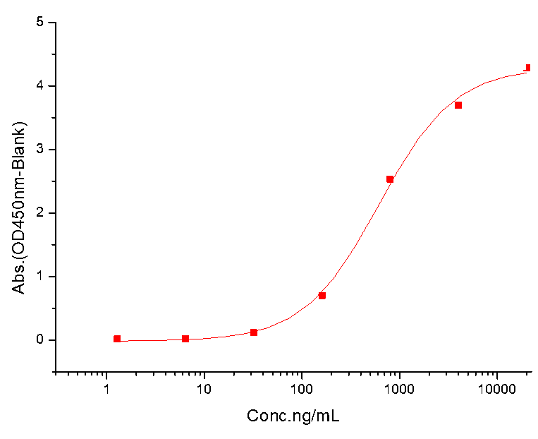 Neuropilin-1 Protein, Cynomolgus, Recombinant (His)