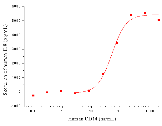 CD14 Protein, Human, Recombinant (His)