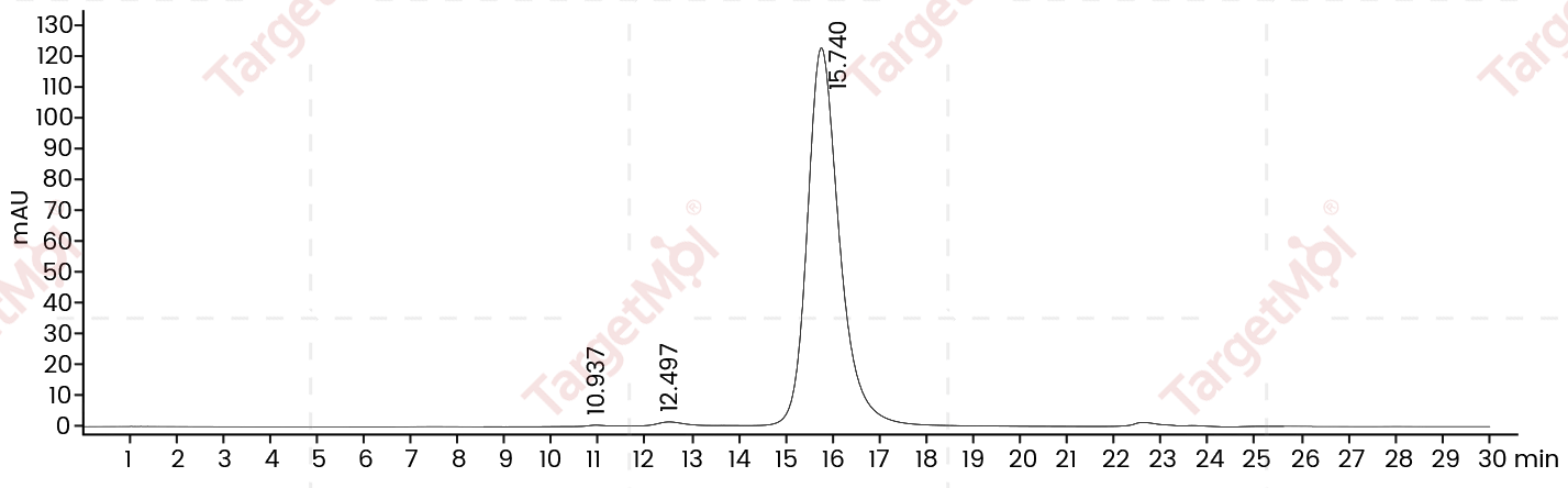 ROR1 Protein, Human, Recombinant (His)