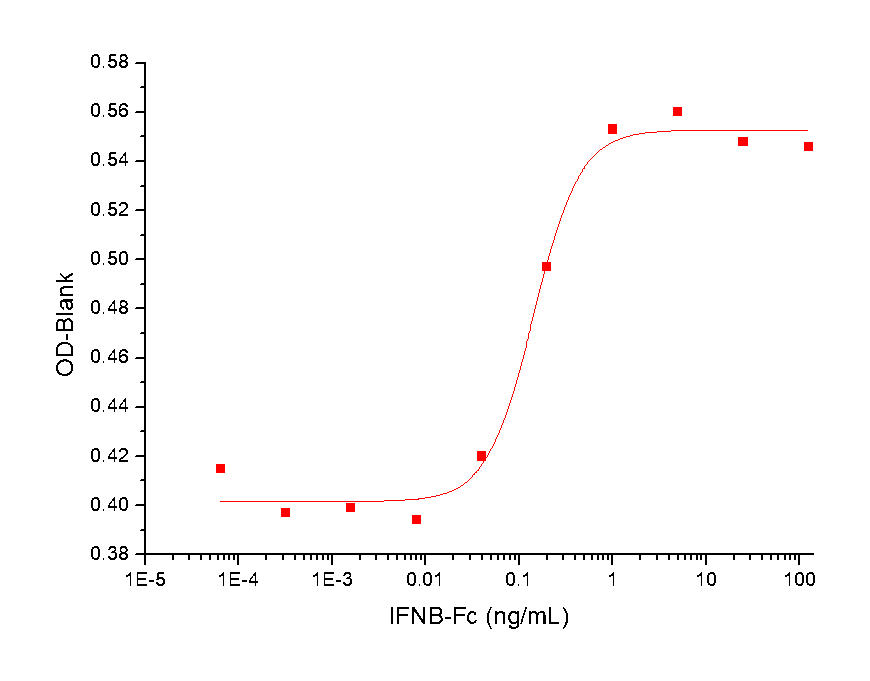IFN-beta Protein, Human, Recombinant (hFc)