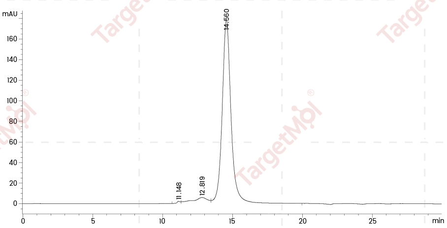 CD39 Protein, Human, Recombinant (His)