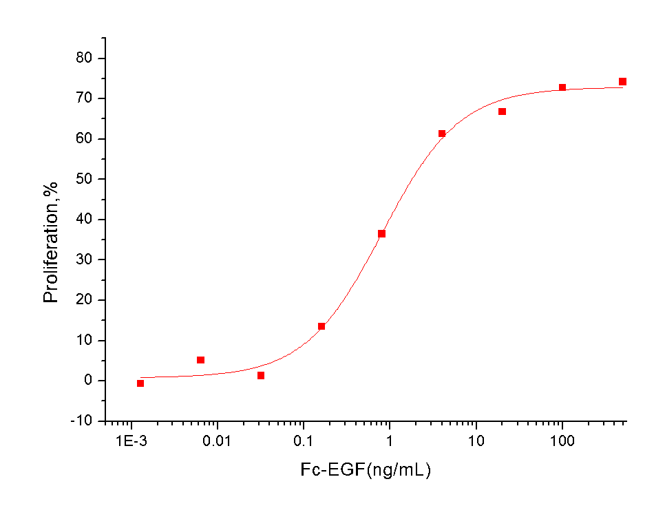 EGF Protein, Human, Recombinant (hFc)