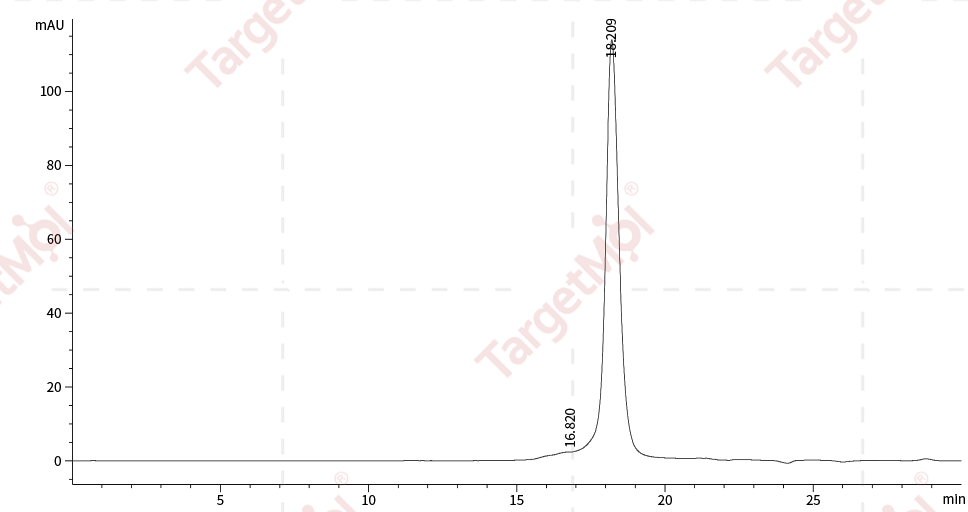 G-CSF Protein, Human, Recombinant (Isoform 2)