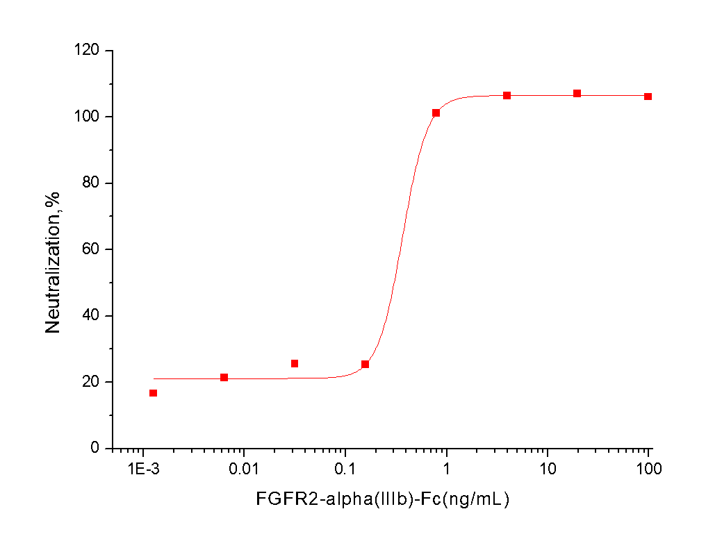 FGFR2 Protein, Human, Recombinant (alpha IIIb, hFc)