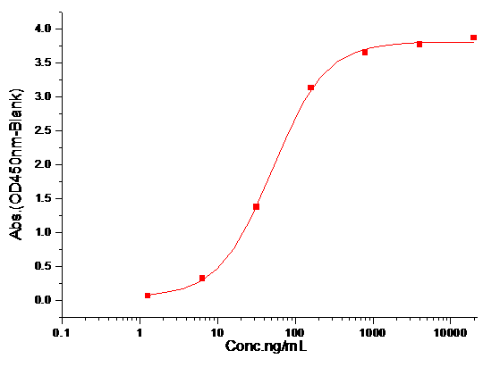 VEGFR3/FLT4 Protein, Mouse, Recombinant (His)