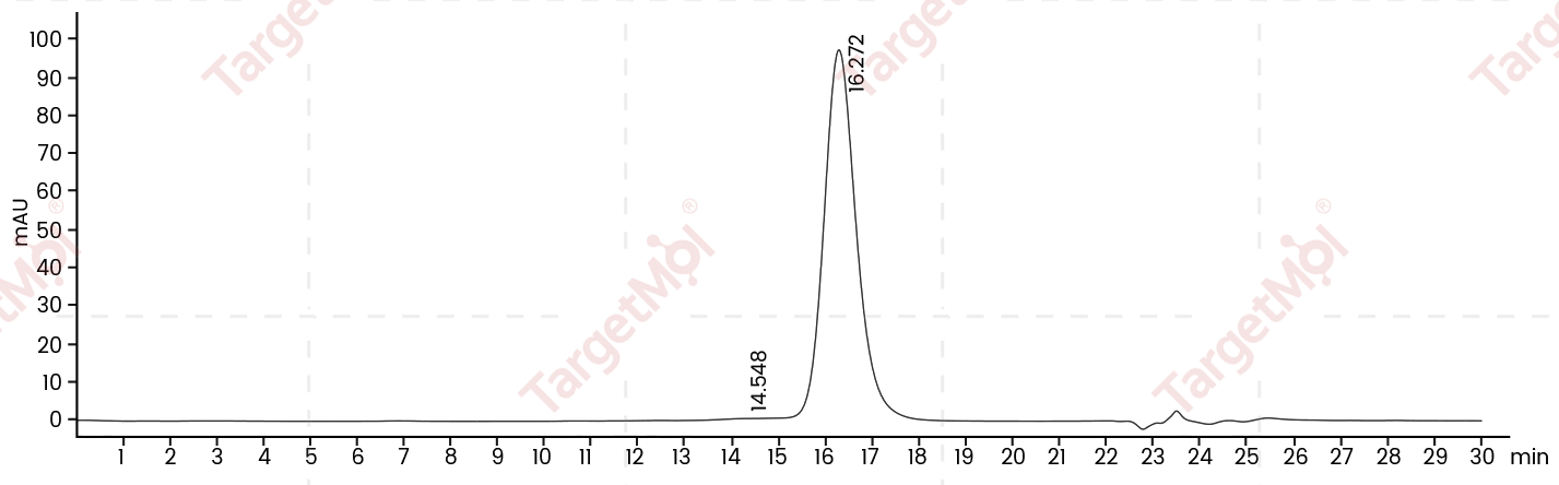 CD155/PVR Protein, Human, Recombinant (His)