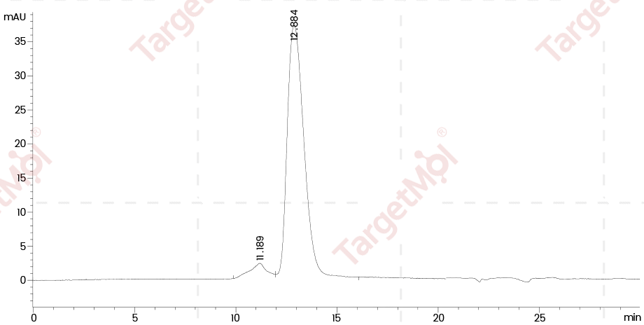 TNFR2/CD120b/TNFR1B Protein, Mouse, Recombinant (His)