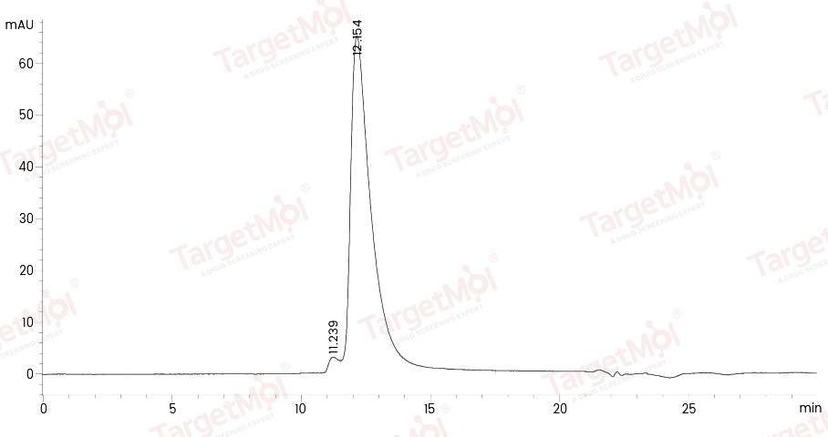 NCAM1 Protein, Human, Recombinant (His)