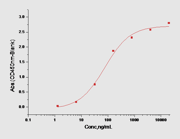 TIE2 Protein, Human, Recombinant (His)