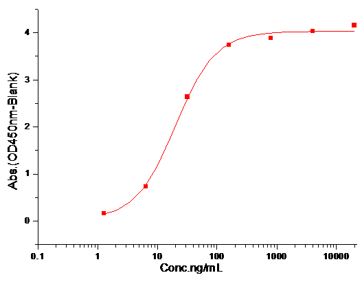 SIRP alpha Protein, Mouse, Recombinant (His)