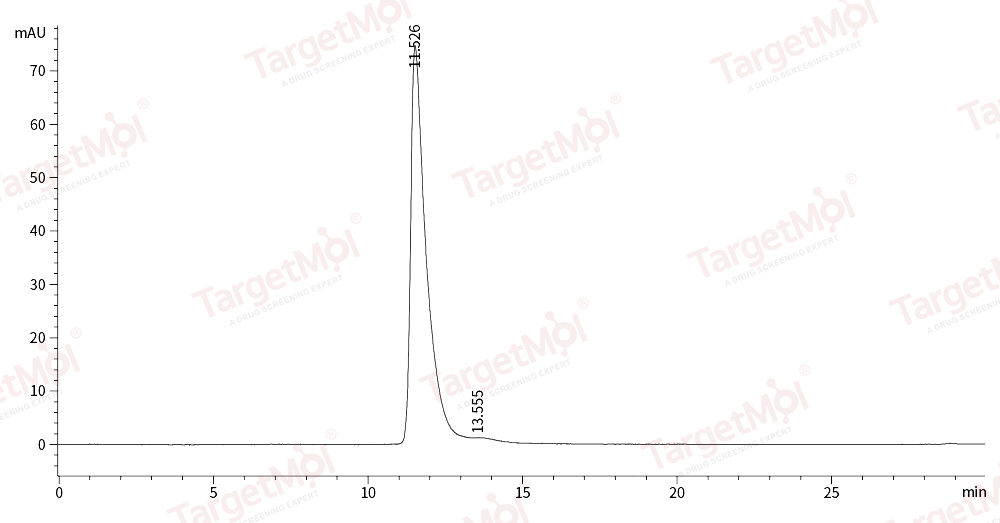 CD40 Ligand Protein, Human, Recombinant (hFc)