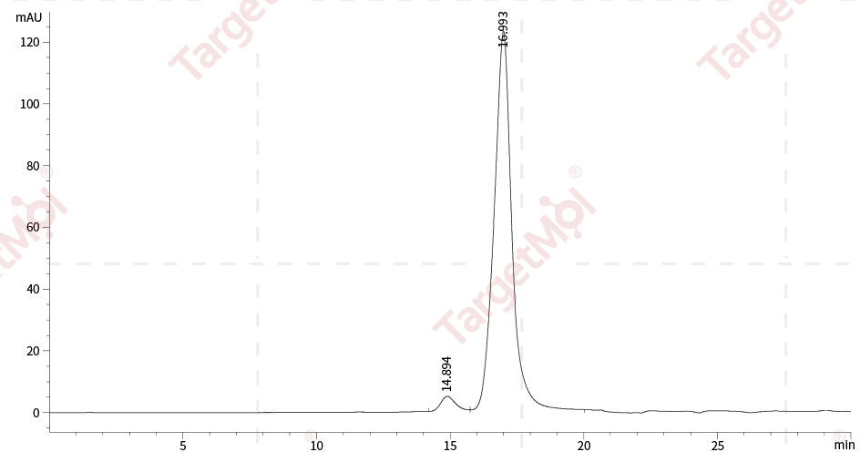 FGF-7/KGF Protein, Human, Recombinant (His)