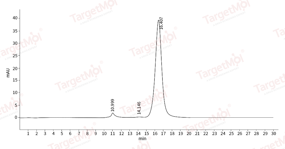 PAI-1 Protein, Human, Recombinant (His)
