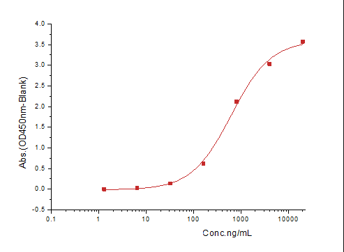 TGFBR2 Protein, Human, Recombinant (His)