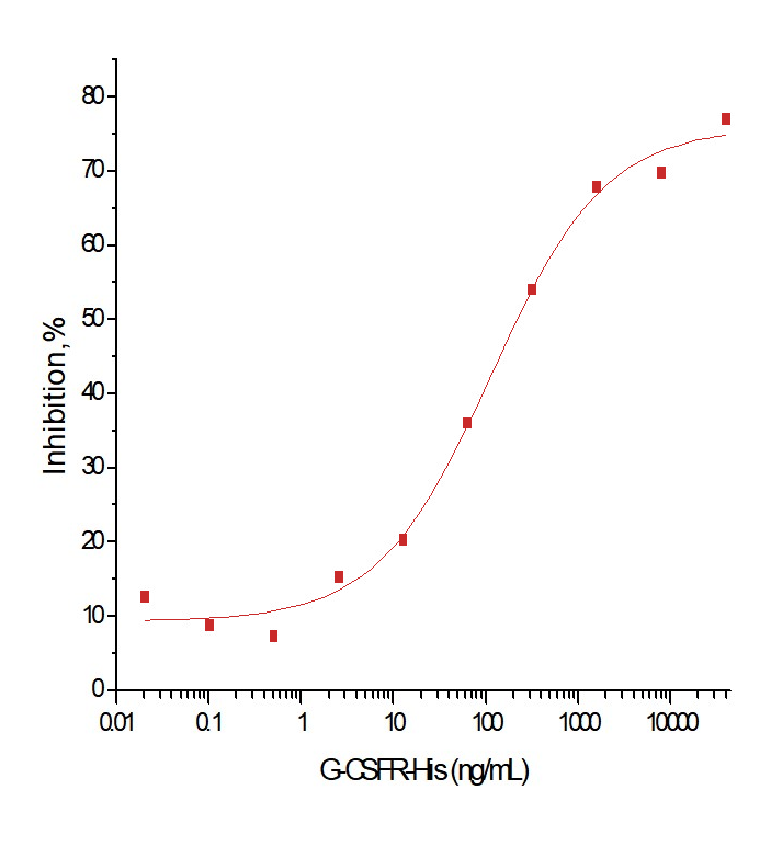 CSF3R/G-CSFR Protein, Human, Recombinant (His)