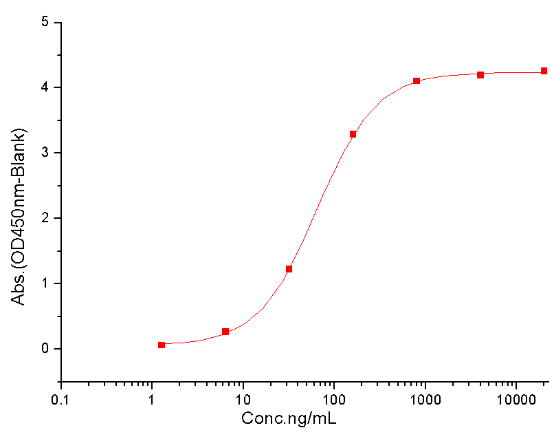 ANGPT2/Angiopoietin-2 Protein, Mouse, Recombinant (His)