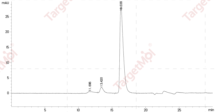 GFP Protein, Aequorea victoria, Recombinant (aa 2-238, His)