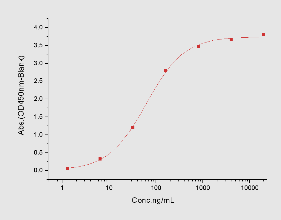CD38 Protein, Human, Recombinant (His)