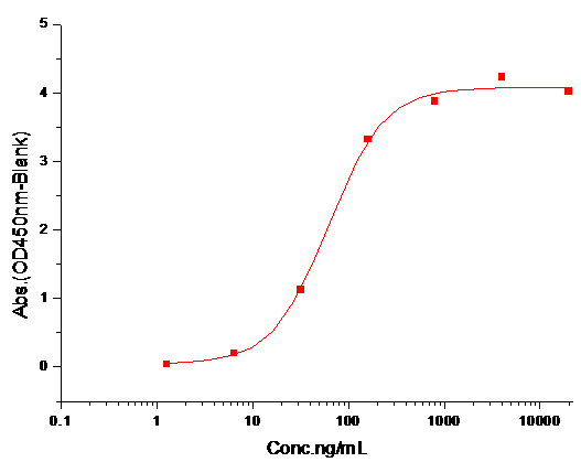 BCL2 Protein, Human, Recombinant (His)