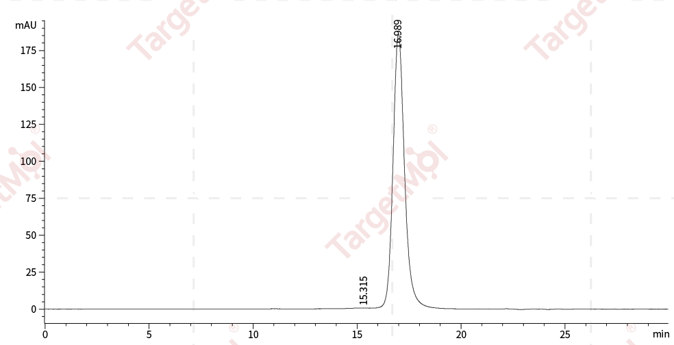 Transferrin Protein, Human, Recombinant (His)