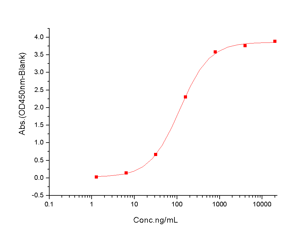 CD40 Protein, Mouse, Recombinant (His)