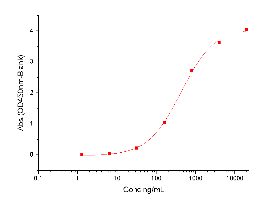 NKp30/NCR3 Protein, Cynomolgus, Rhesus, Recombinant (His)