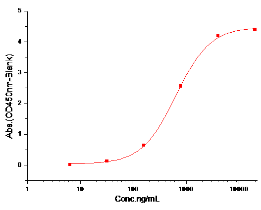 IL-31RA Protein, Human, Recombinant (hFc)