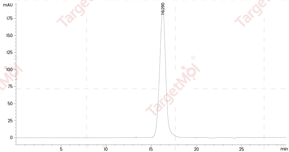 CD32A Protein, Human, Recombinant (167 His, His)